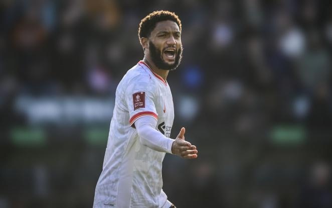 欧锦赛首战 欧锦赛首战